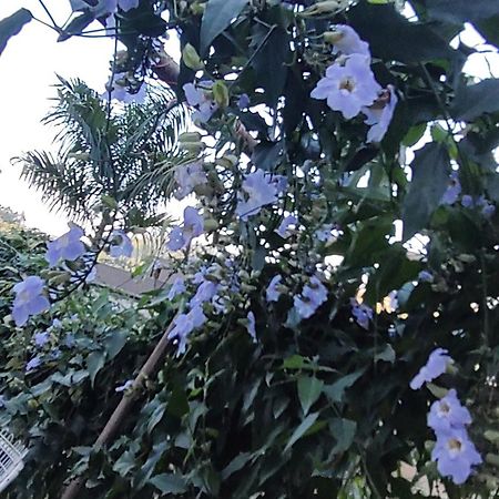 Recanto Duas Rosas Venda Nova do Imigrante Exterior photo
